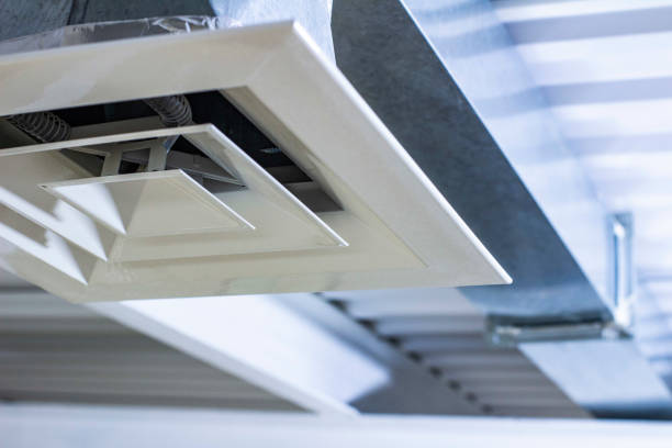 Best Air Duct Cleaning Company Near Me  in Temple Terrace, FL