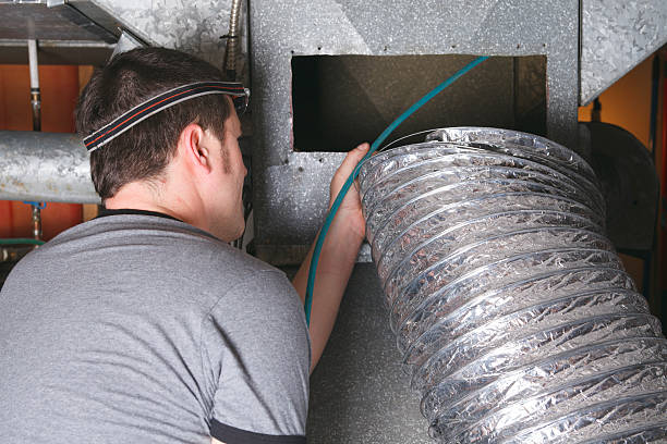Best Air Duct Sanitizing Services  in Temple Terrace, FL