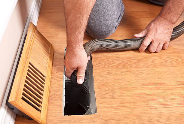 Best Professional Duct Cleaning Services  in Temple Terrace, FL