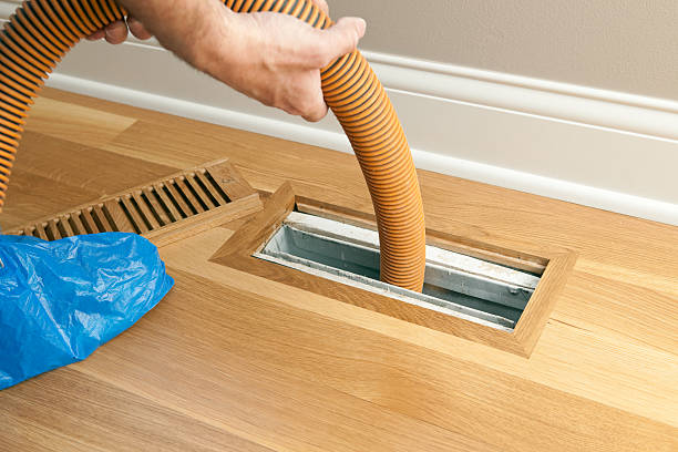 Best Air Duct Cleaning Near Me  in Temple Terrace, FL