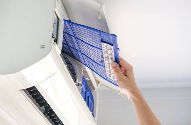 Best Emergency Air Duct Cleaning  in Temple Terrace, FL