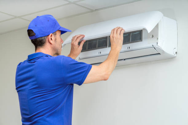 Best Local Air Duct Cleaning Services  in Temple Terrace, FL