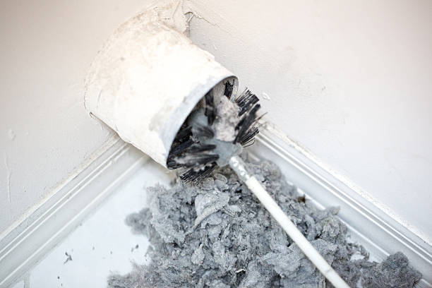Best Best Air Duct Cleaning Company  in Temple Terrace, FL