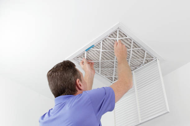 Best Ventilation Cleaning Services  in Temple Terrace, FL